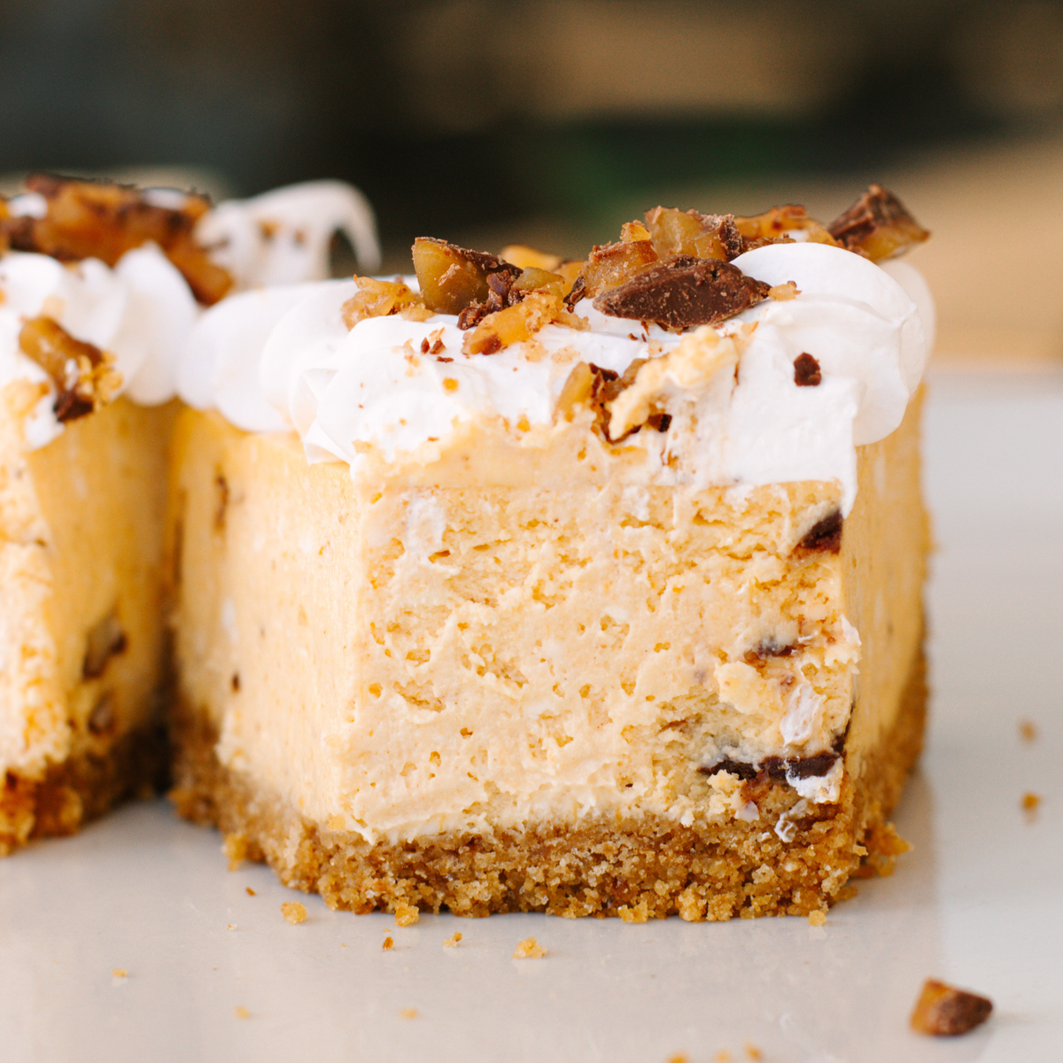 Pumpkin Toffee Cheesecake