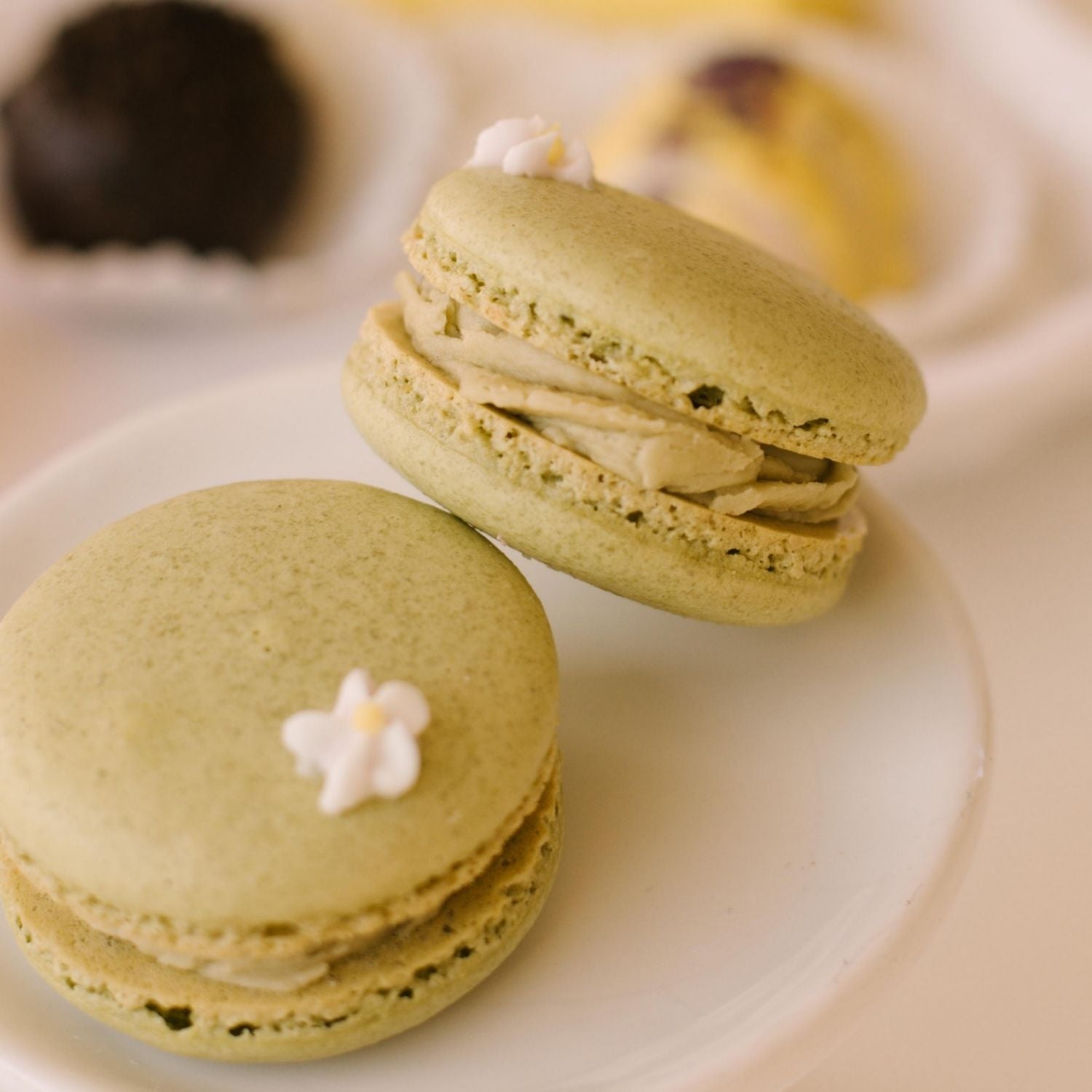 Matcha Macaron