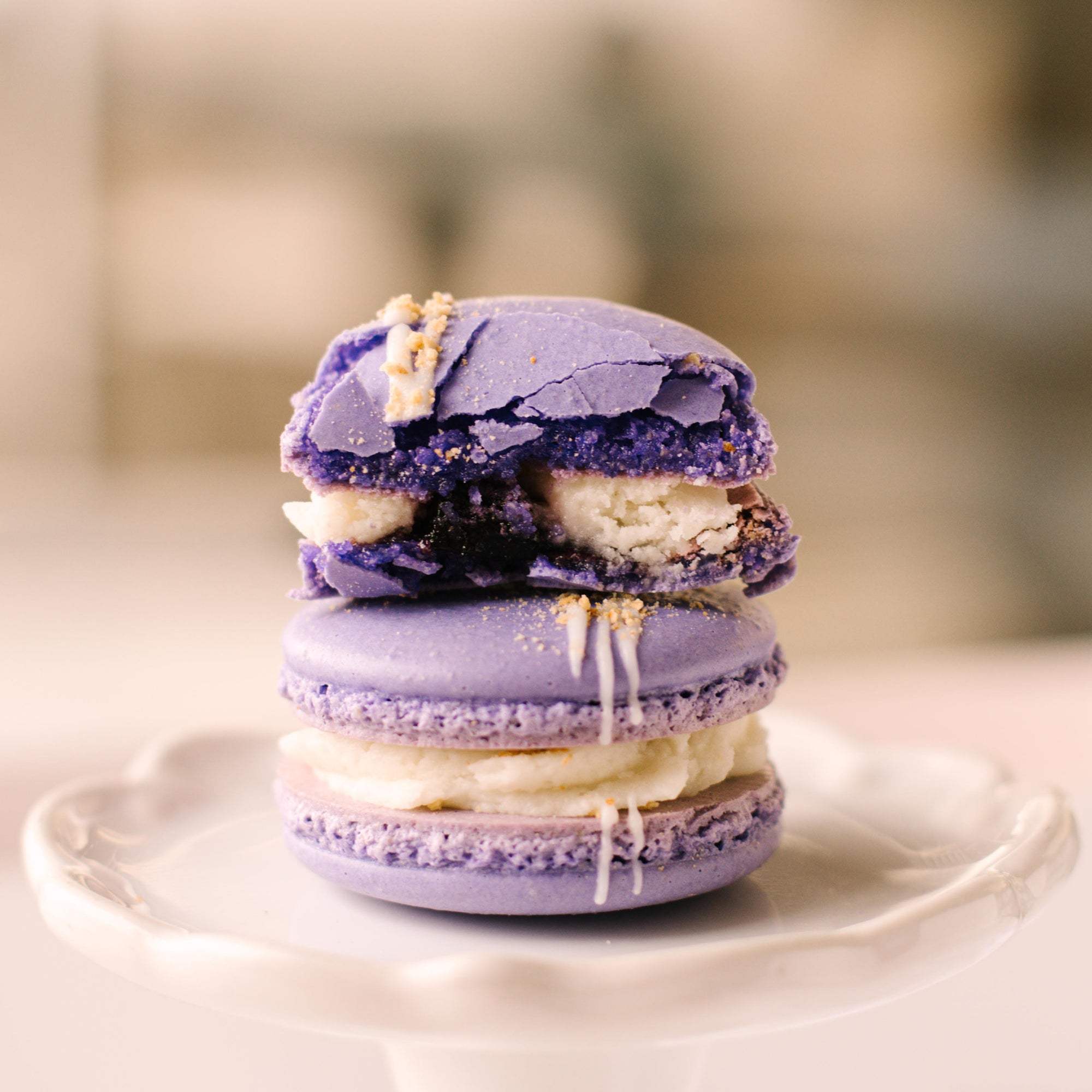 Blueberry Cheesecake Macaron