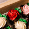 Dozen Roses Mini Cupcakes