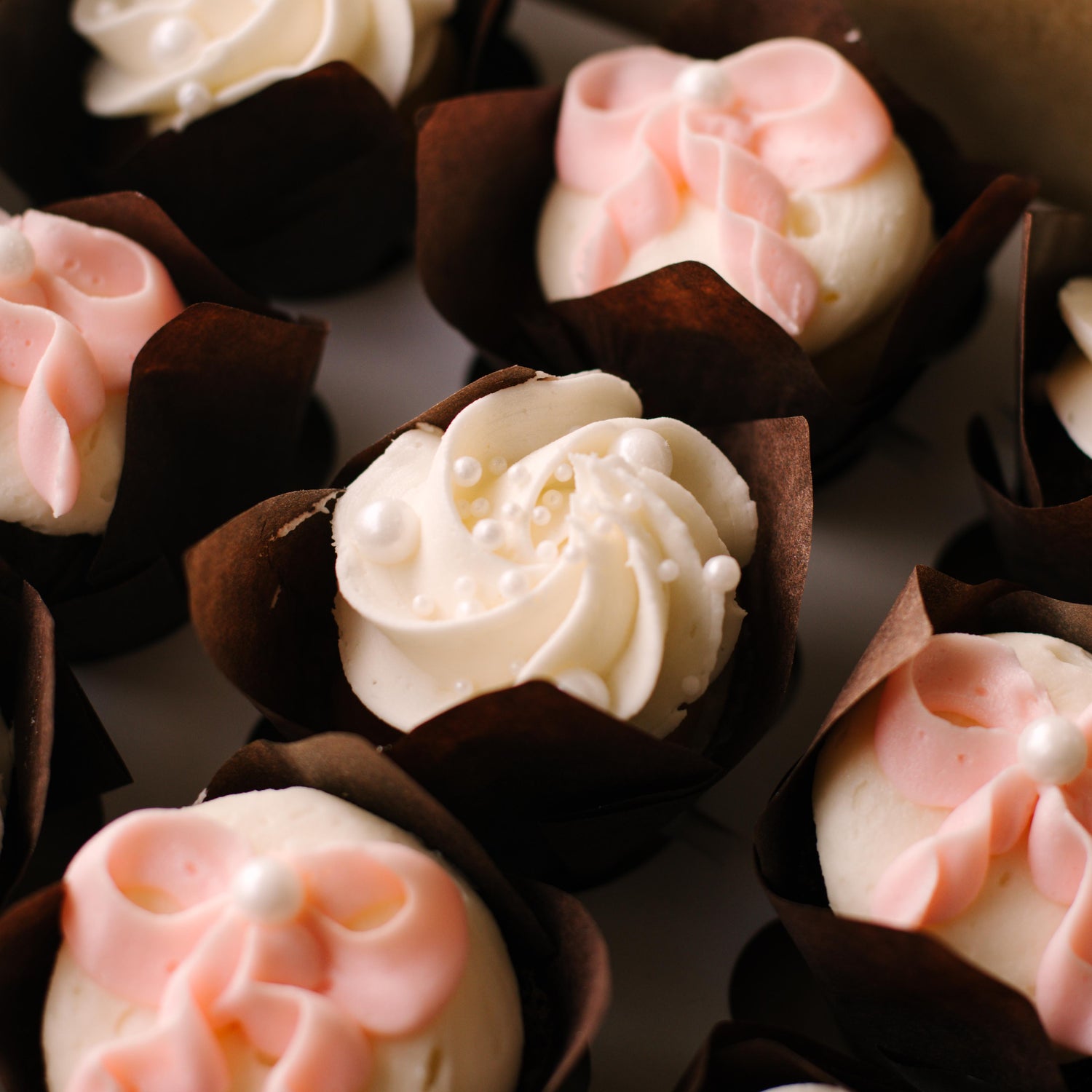 Bow Mini Cupcakes