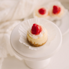Assorted Cheesecake Bites • Wedding