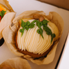 Pumpkin Patch • Designer Cupcakes