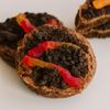 Dirt 'N' Worms Sugar Cookie • Sunflower House Cookies