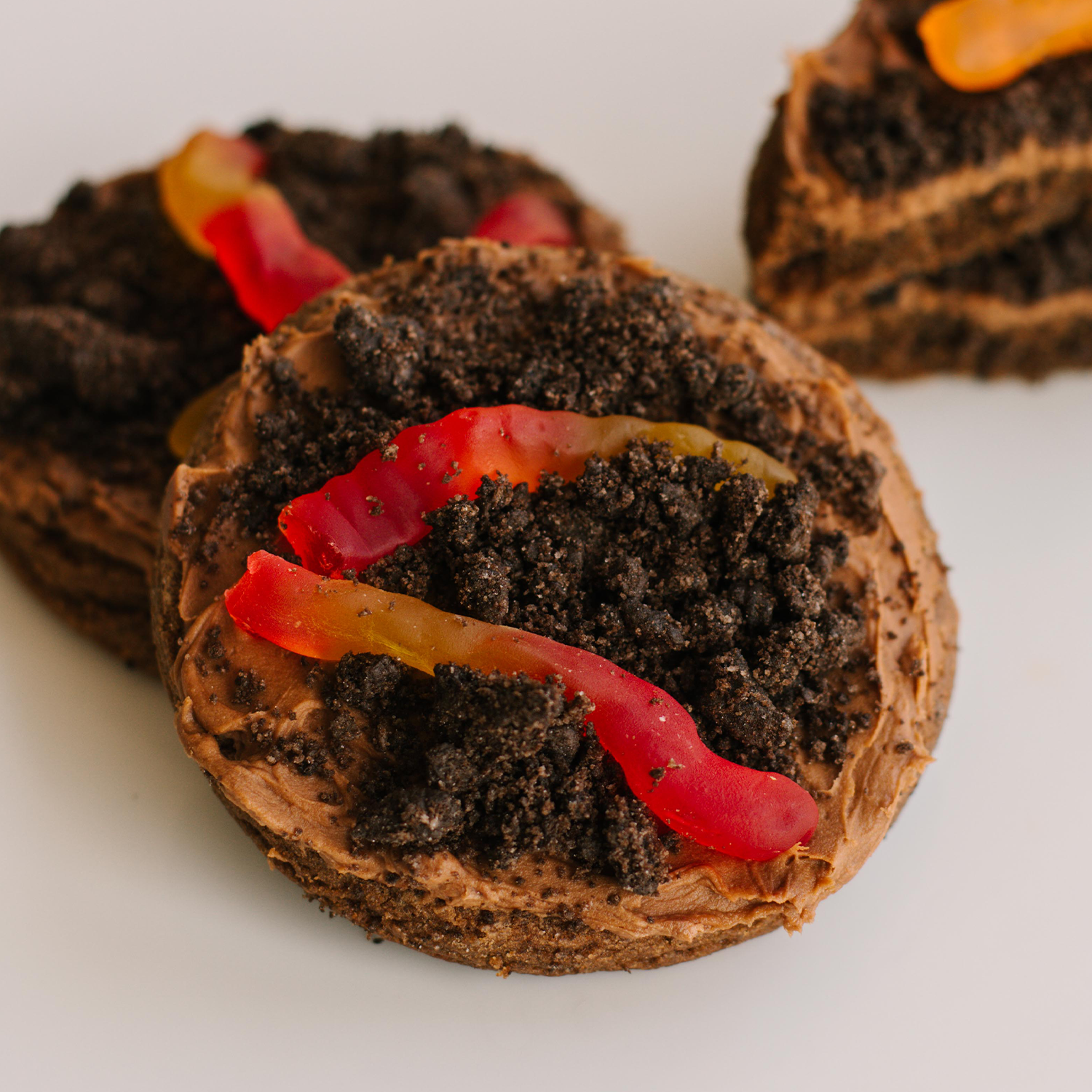Dirt 'N' Worms Sugar Cookie • Sunflower House Cookies