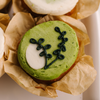 Modern Greenery • Designer Cupcakes