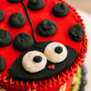 Ladybug • Designer Cake
