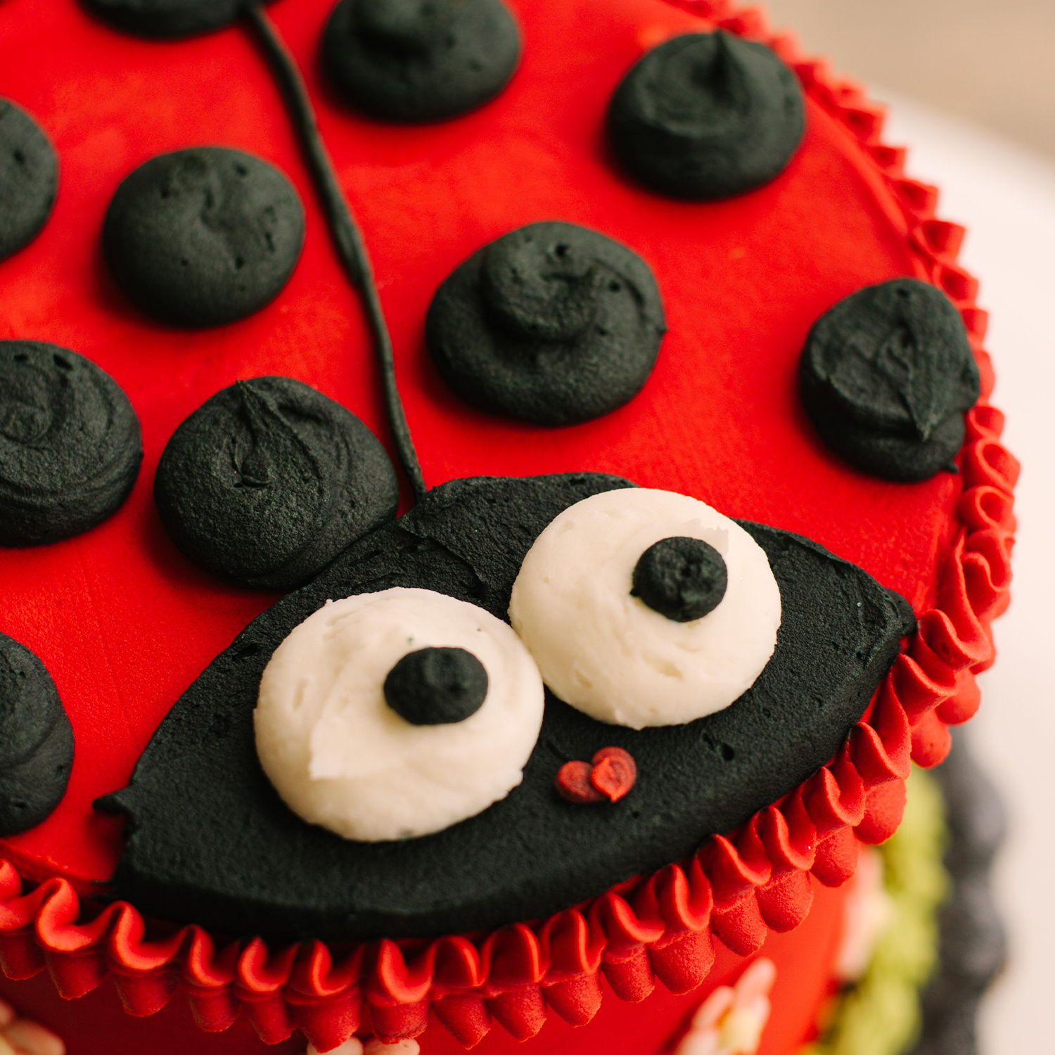 Ladybug • Designer Cake