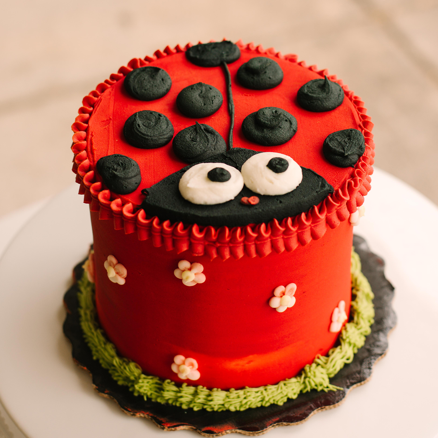 Ladybug • Designer Cake
