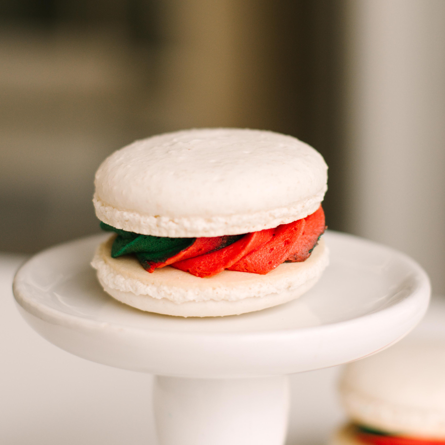 Christmas Vanilla Macaron