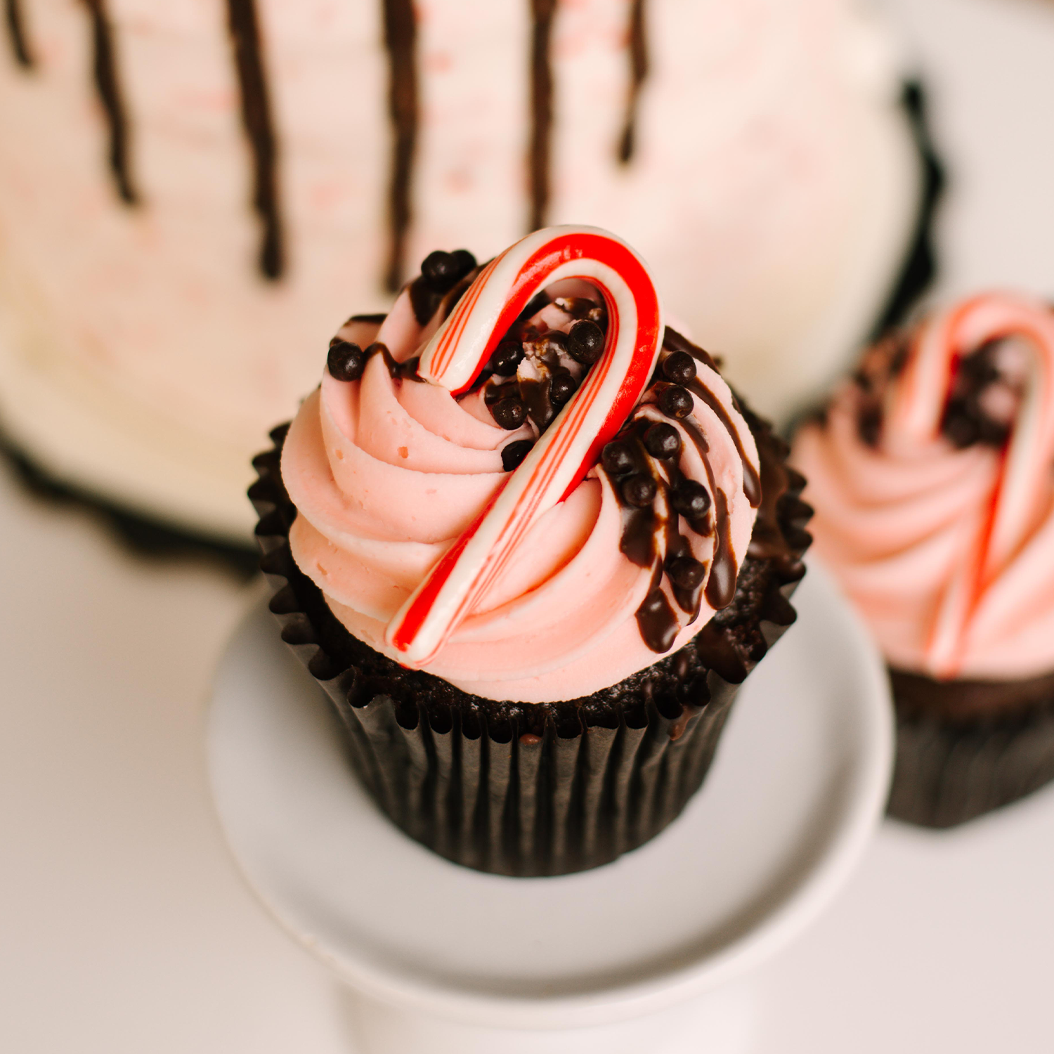 Gourmet Peppermint Mocha Cupcake