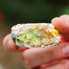 Vanilla Pride Macaron