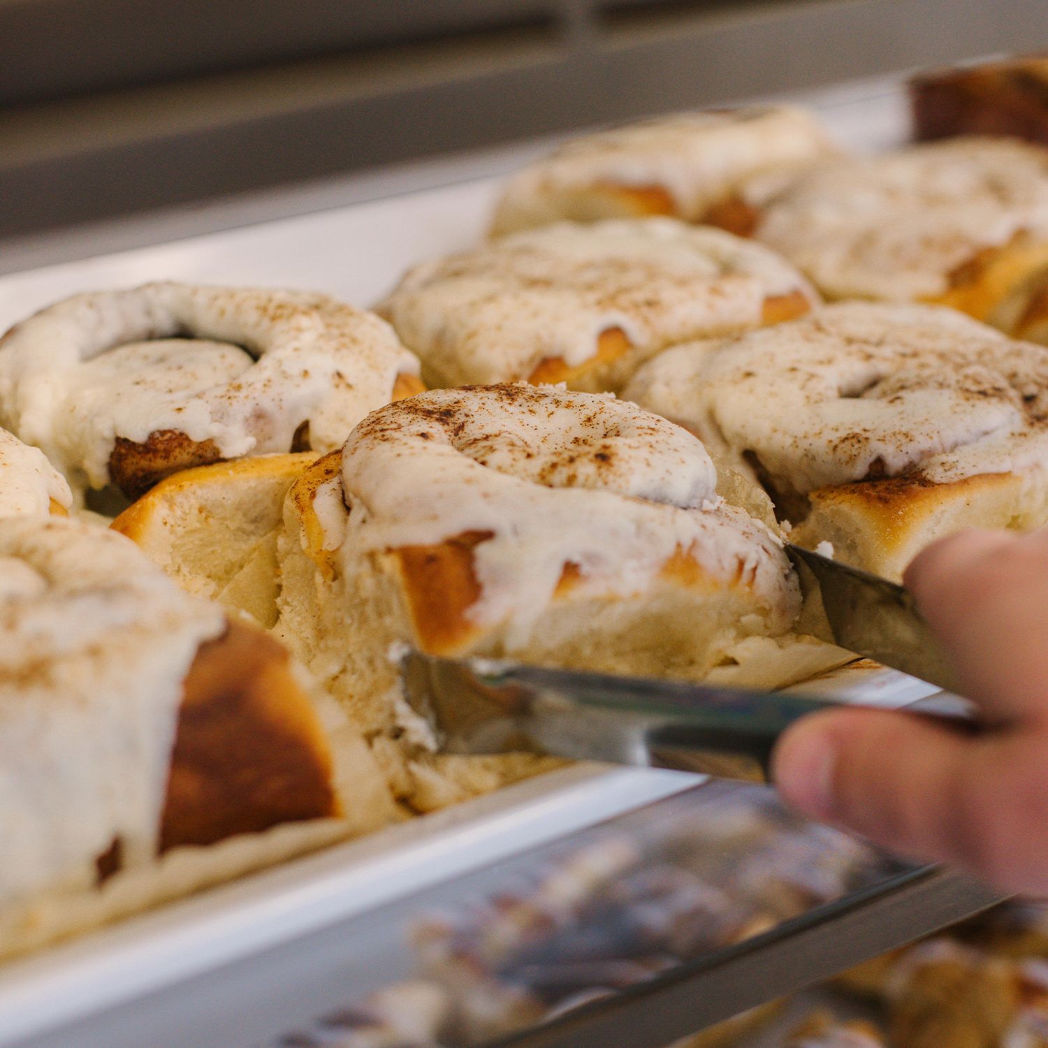 Cinnamon Roll