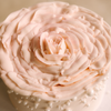 Rose Cake • Designer Cake