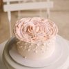 Rose Cake • Designer Cake