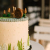 Snail Sanctuary • Designer Cake